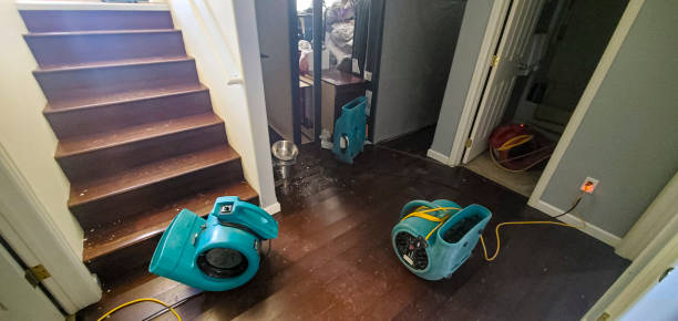 Best Water damage restoration process  in USA